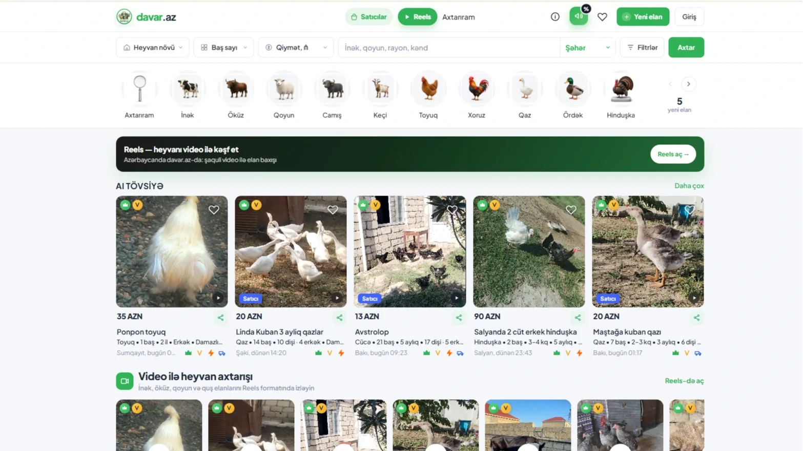 Davar.az – Heyvandarlıq Elanları və Şaquli Video (Reels) İlə Heyvan Satışı Platforması — desktop
