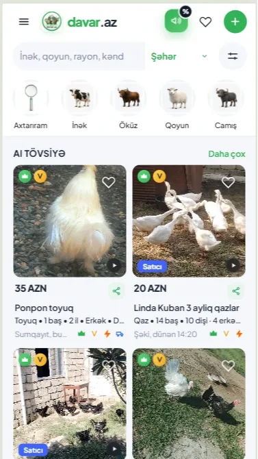Davar.az – Heyvandarlıq Elanları və Şaquli Video (Reels) İlə Heyvan Satışı Platforması — mobil