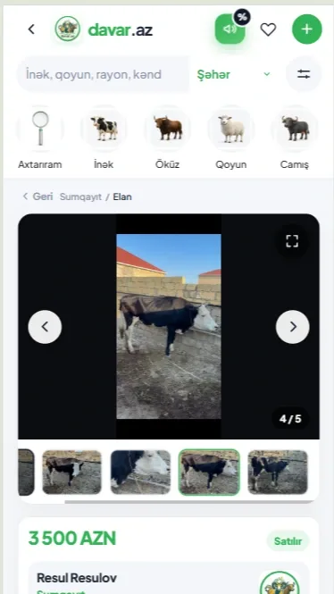 Davar.az – Heyvandarlıq Elanları və Şaquli Video (Reels) İlə Heyvan Satışı Platforması — mobil 3 | Code Symphony
